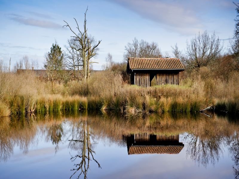 Photo d'art - photo 2