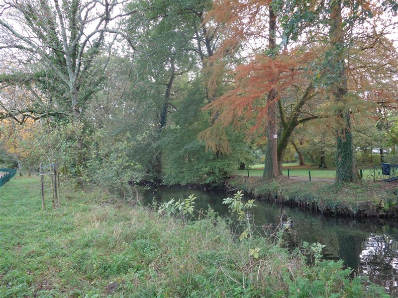 DSC01978-2