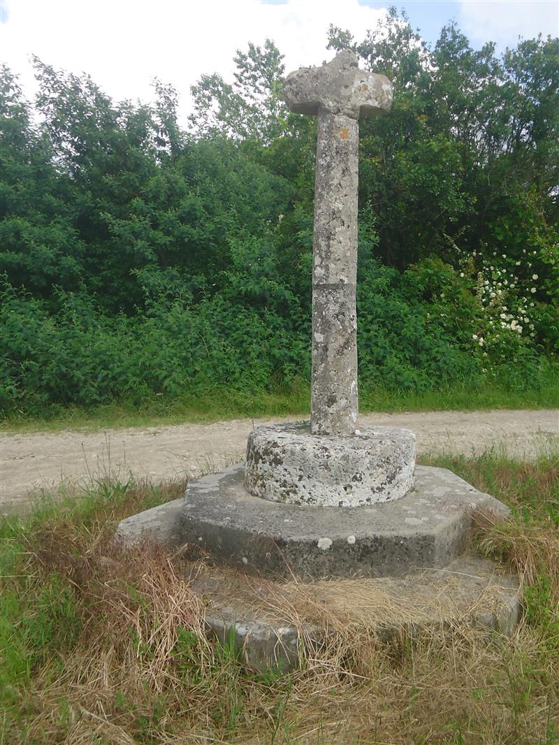 DSC02176