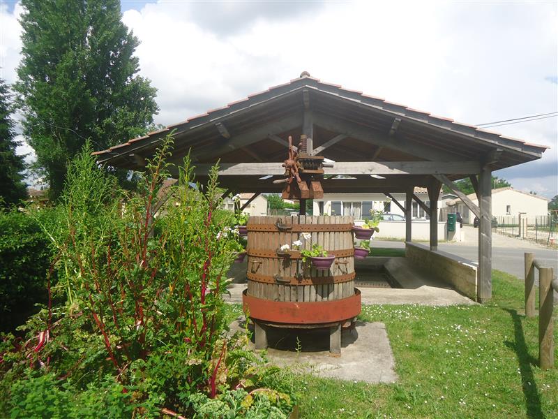 DSC02181