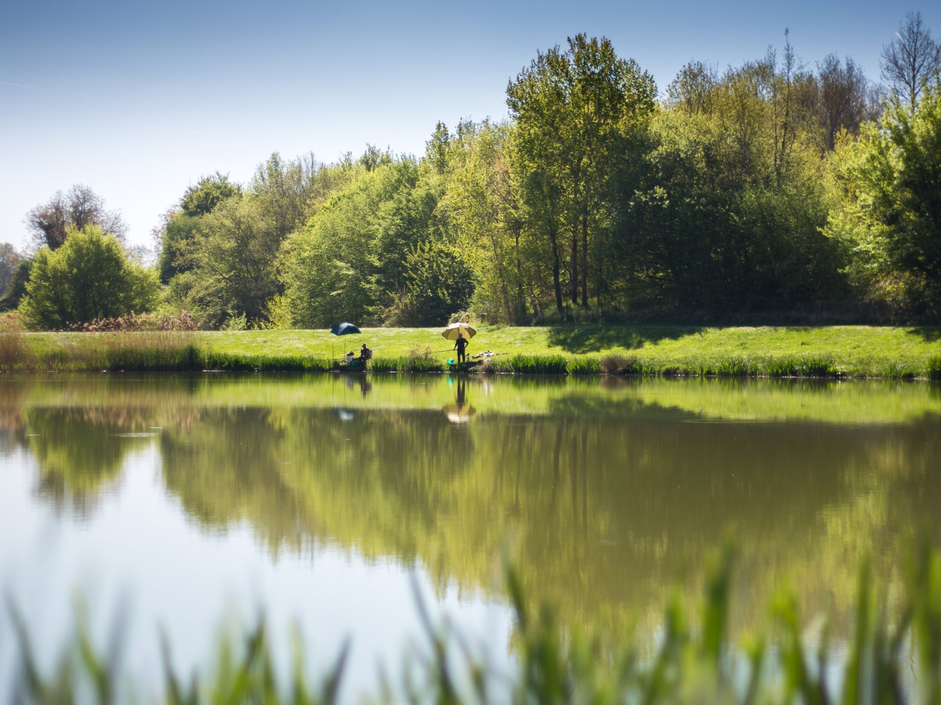[temporairement interdit d'accès] Domaine nature et de loisirs de Blasimon