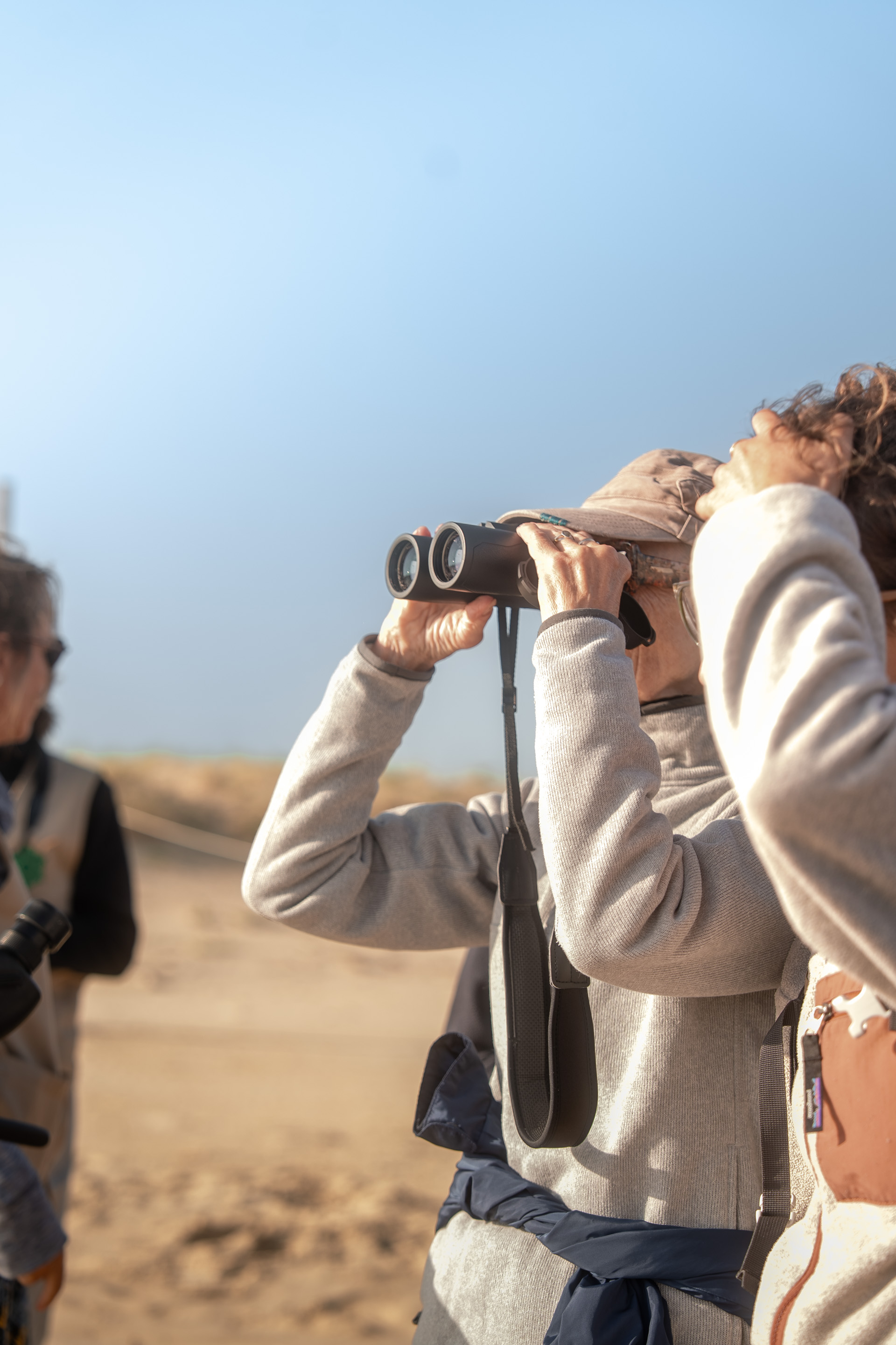 Visite guidée de la Dune du Pilat au Banc d’Arguin