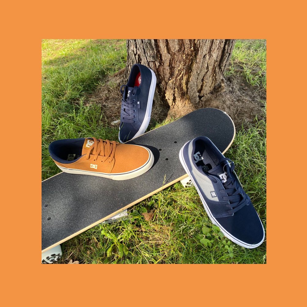 Endless Summer - photo 2