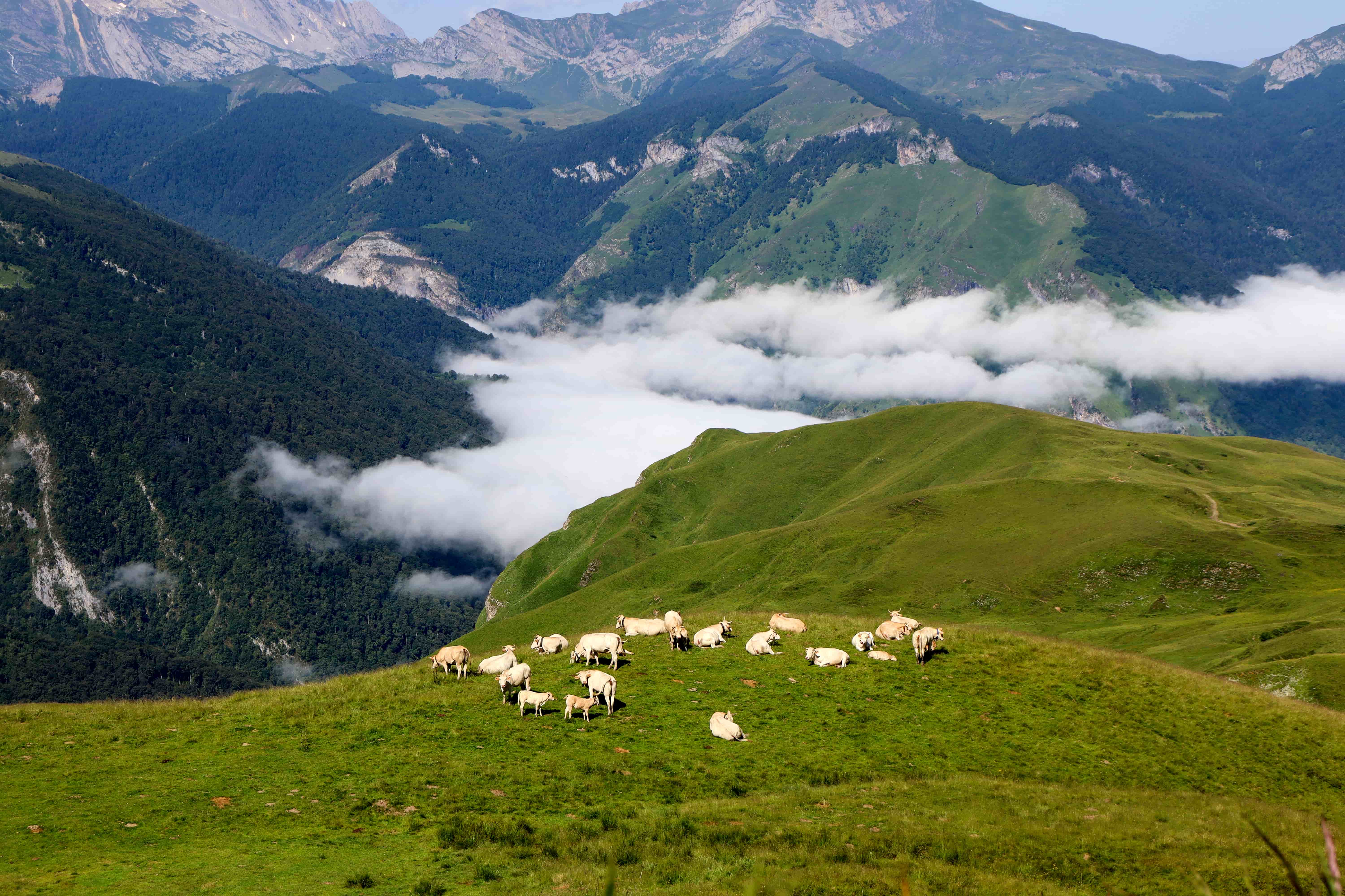 Site naturel du Col d'Aubisque
