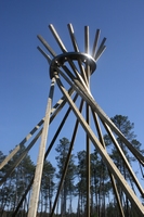 Emilie Perotto, Coeur Chaud bois d'Aquitaine, Arue