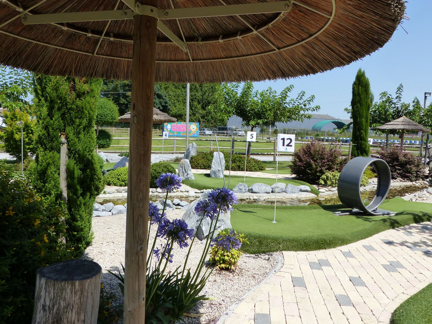 Mini-golf