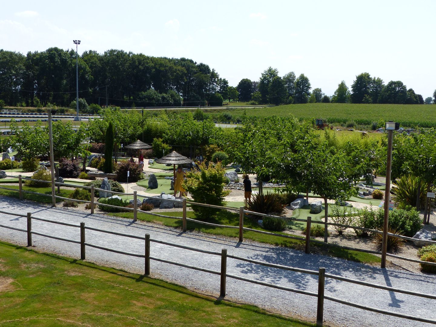 Mini-golf