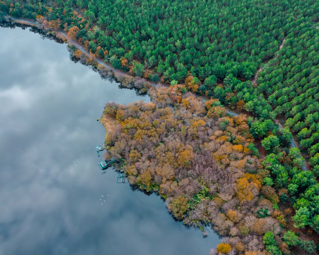 Etang de Moïsan