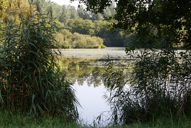 Etang de la Courbe