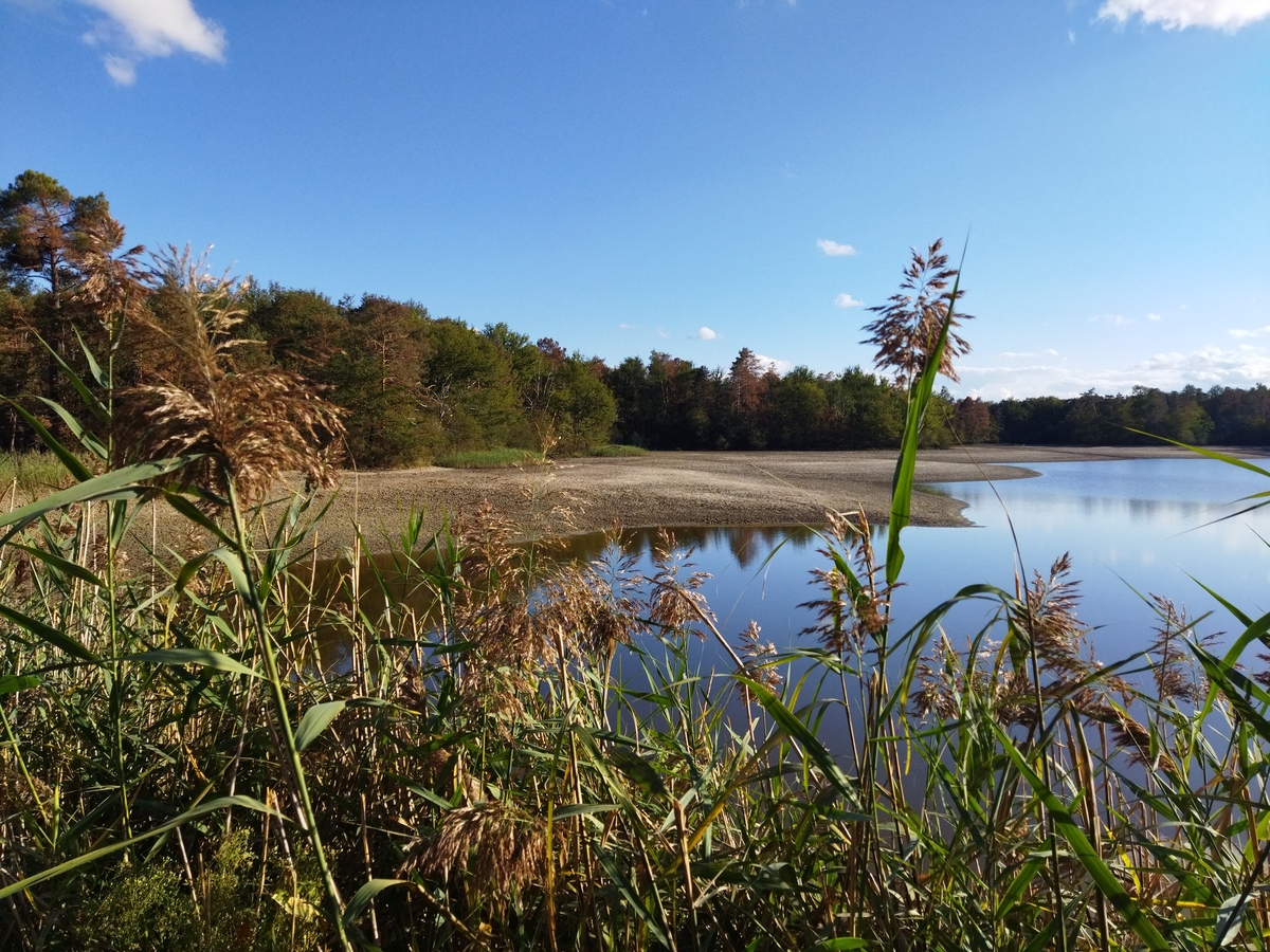 Les Etangs de la Jemaye