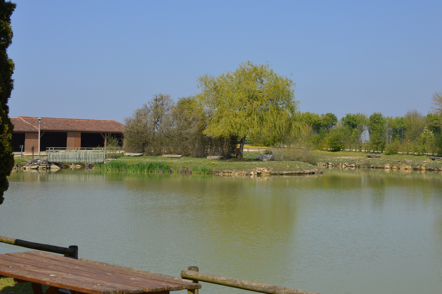 Etang des Marzelles