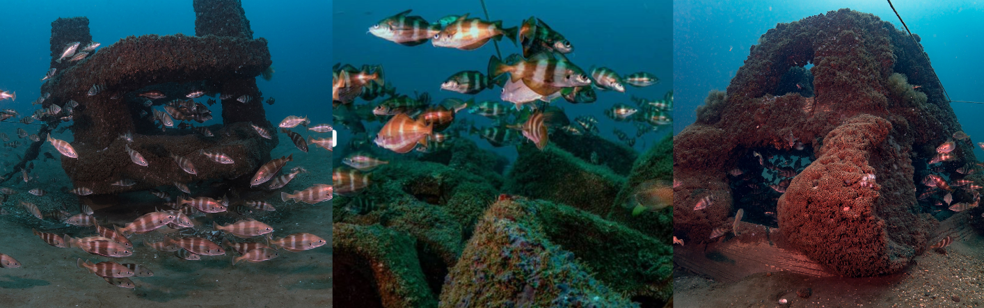 Exposition sur les récifs artificiels landais