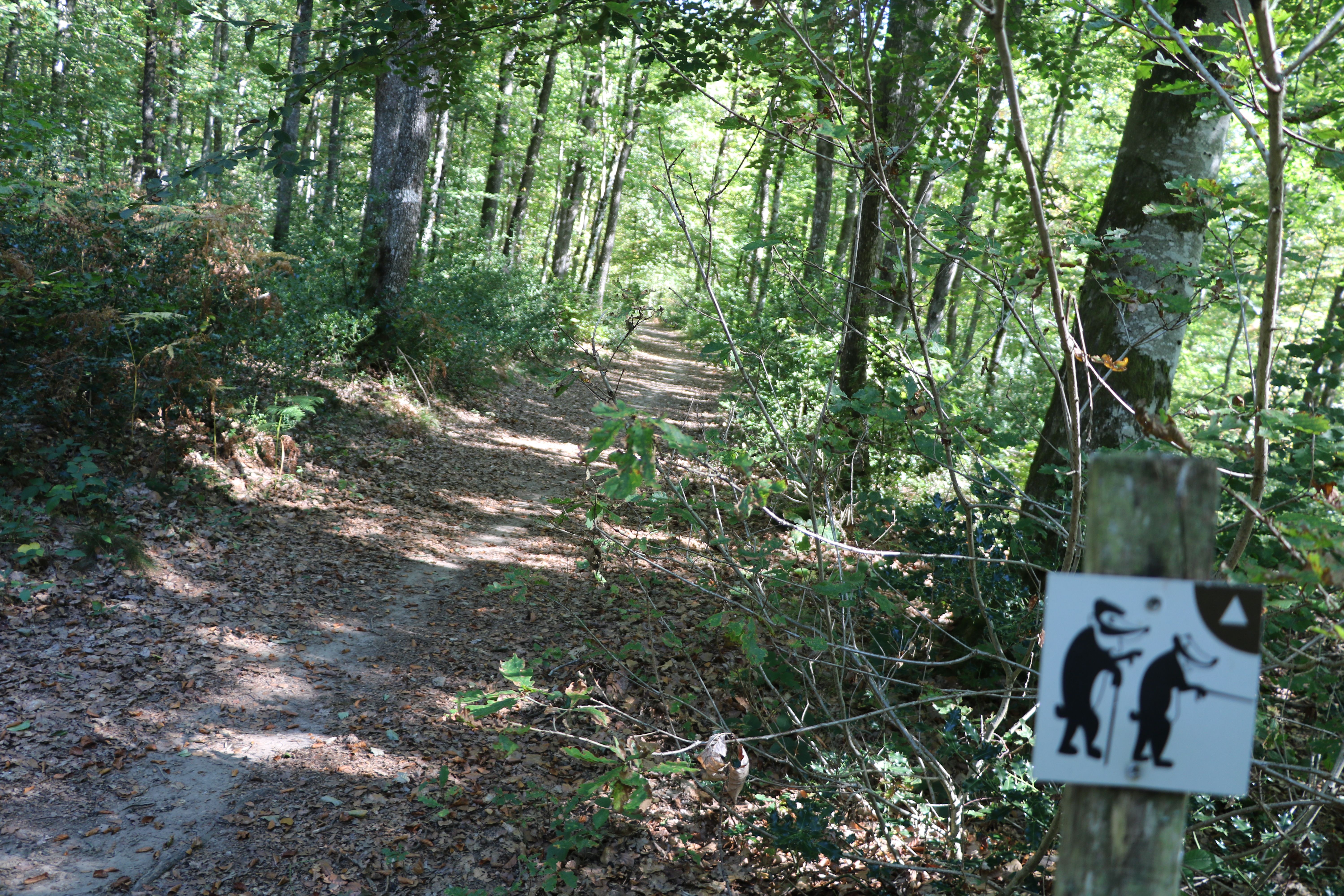 Forêt de Mirambel