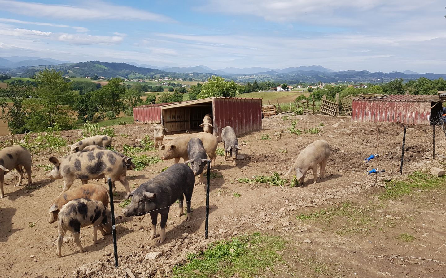Charcuterie ferme Mignaburia - photo 2