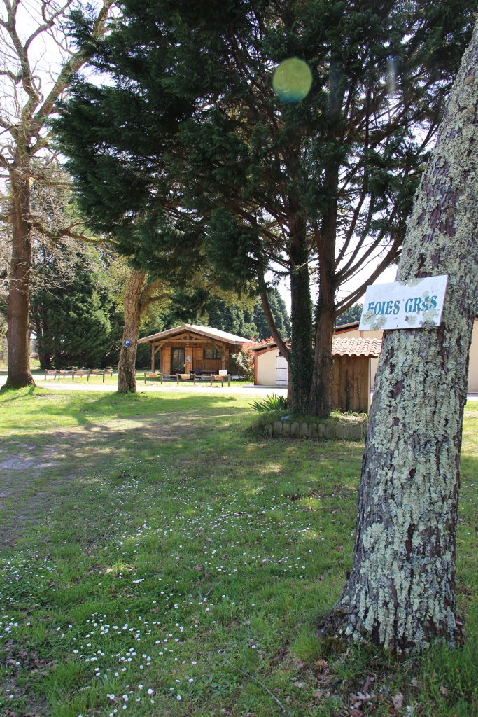 Der Bauernhof von Grit