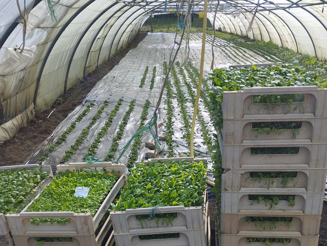 Ferme de la Chabasse