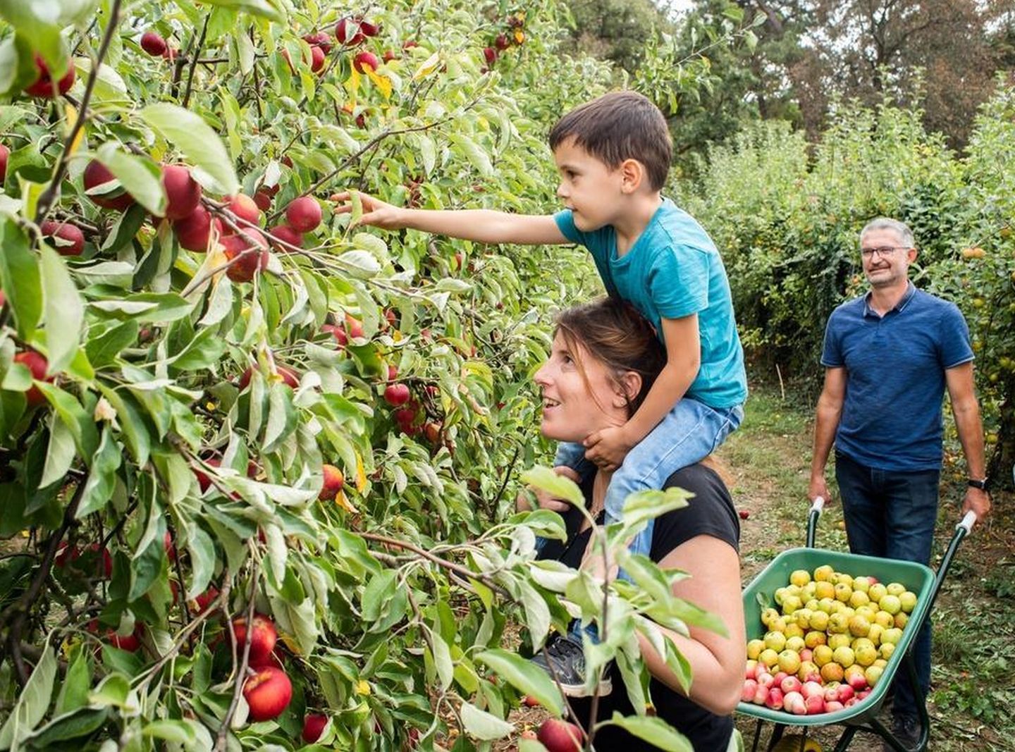 Fête de la pomme, à la Cueillette de l'Aragnon