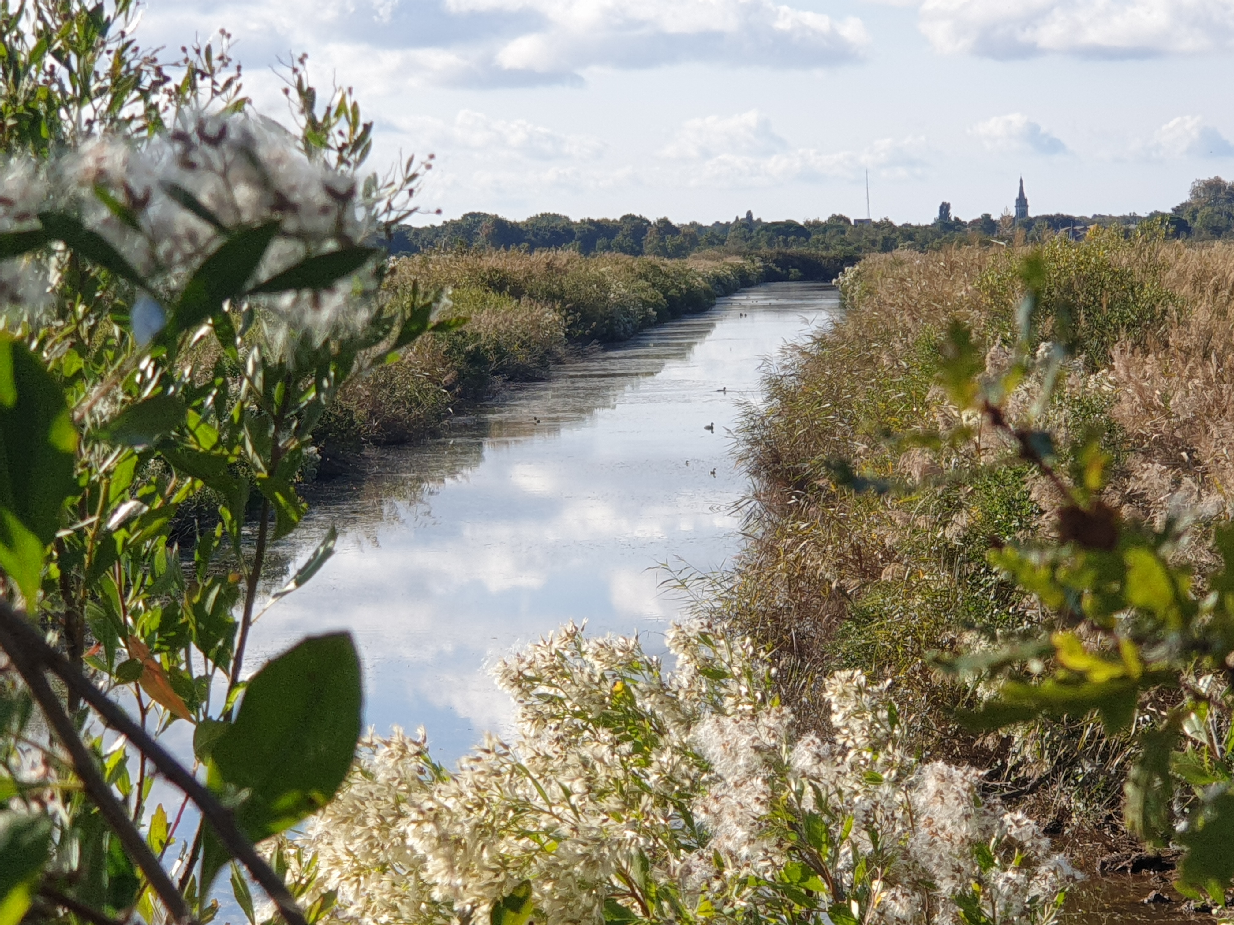 Le domaine de Fleury dans le delta de la Leyre
