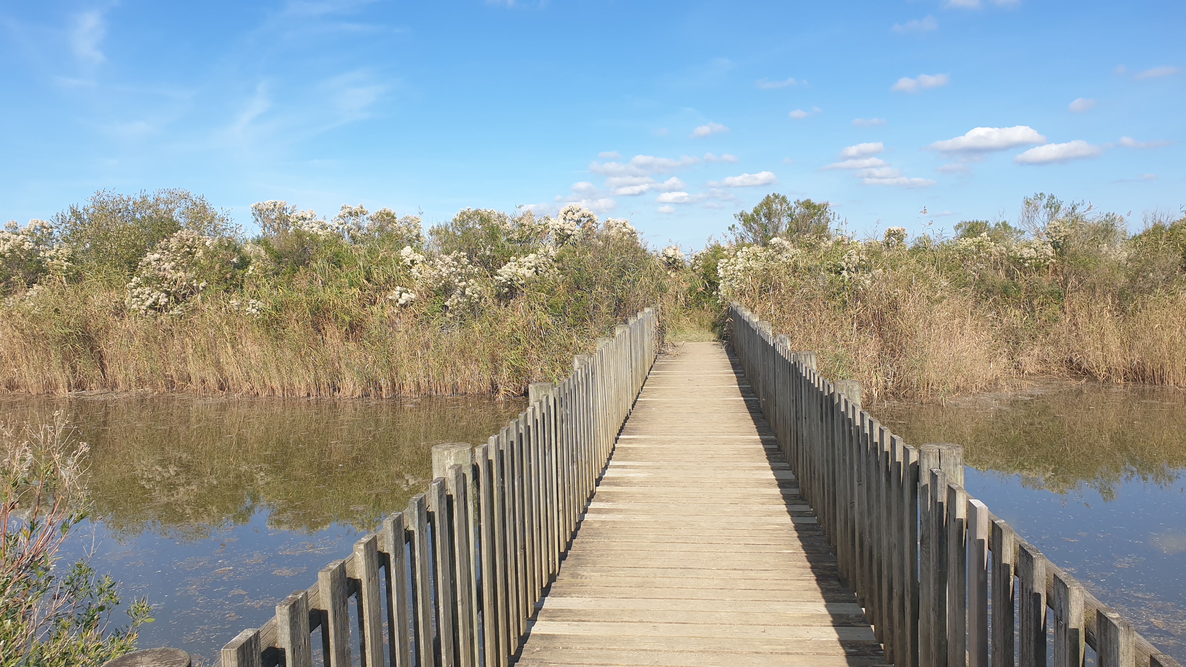 Le domaine de Fleury dans le delta de la Leyre
