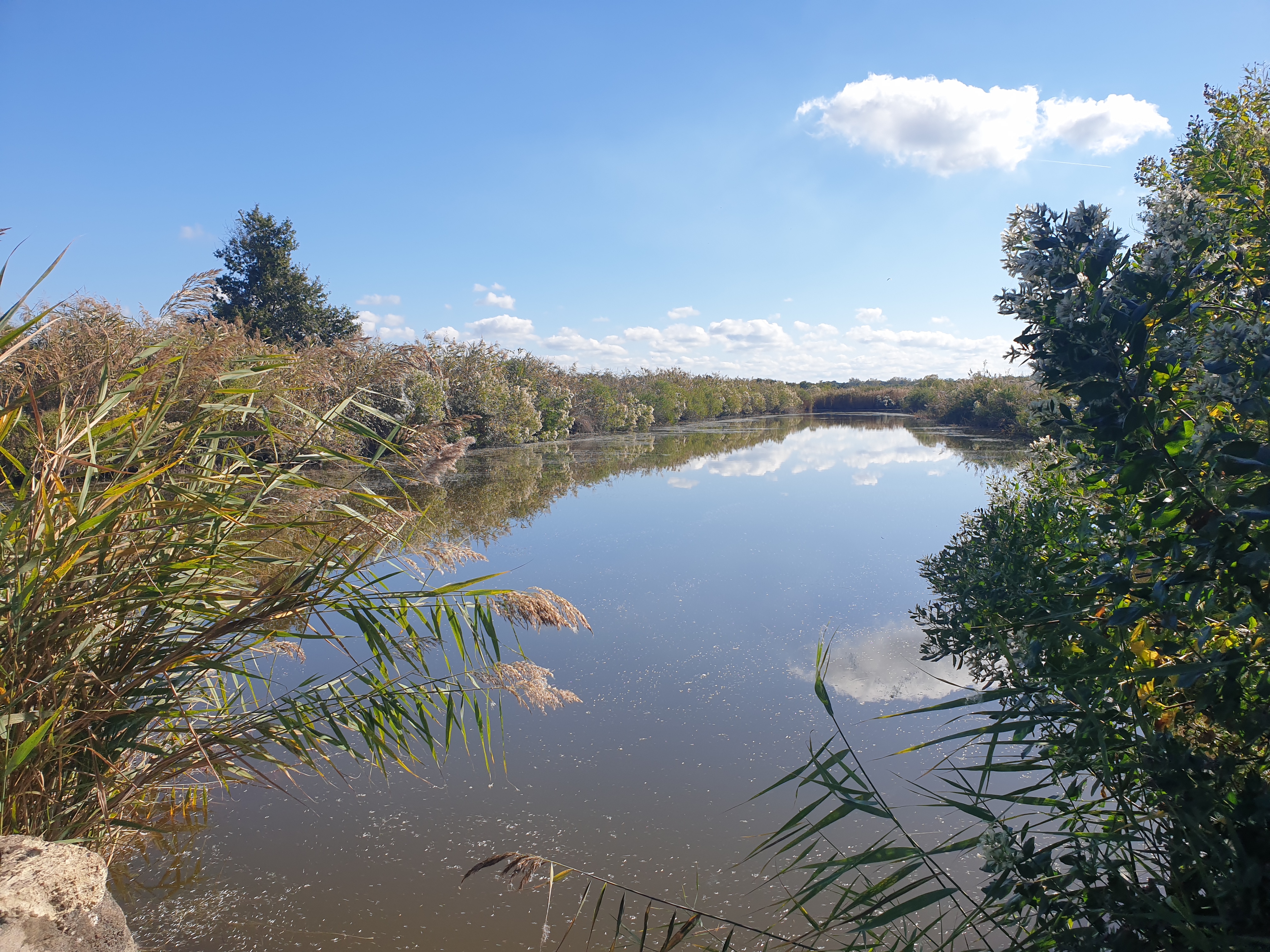 Le domaine de Fleury dans le delta de la Leyre