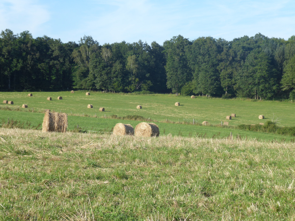 GAEC de Laubanie - éleveurs et paysans boulangers