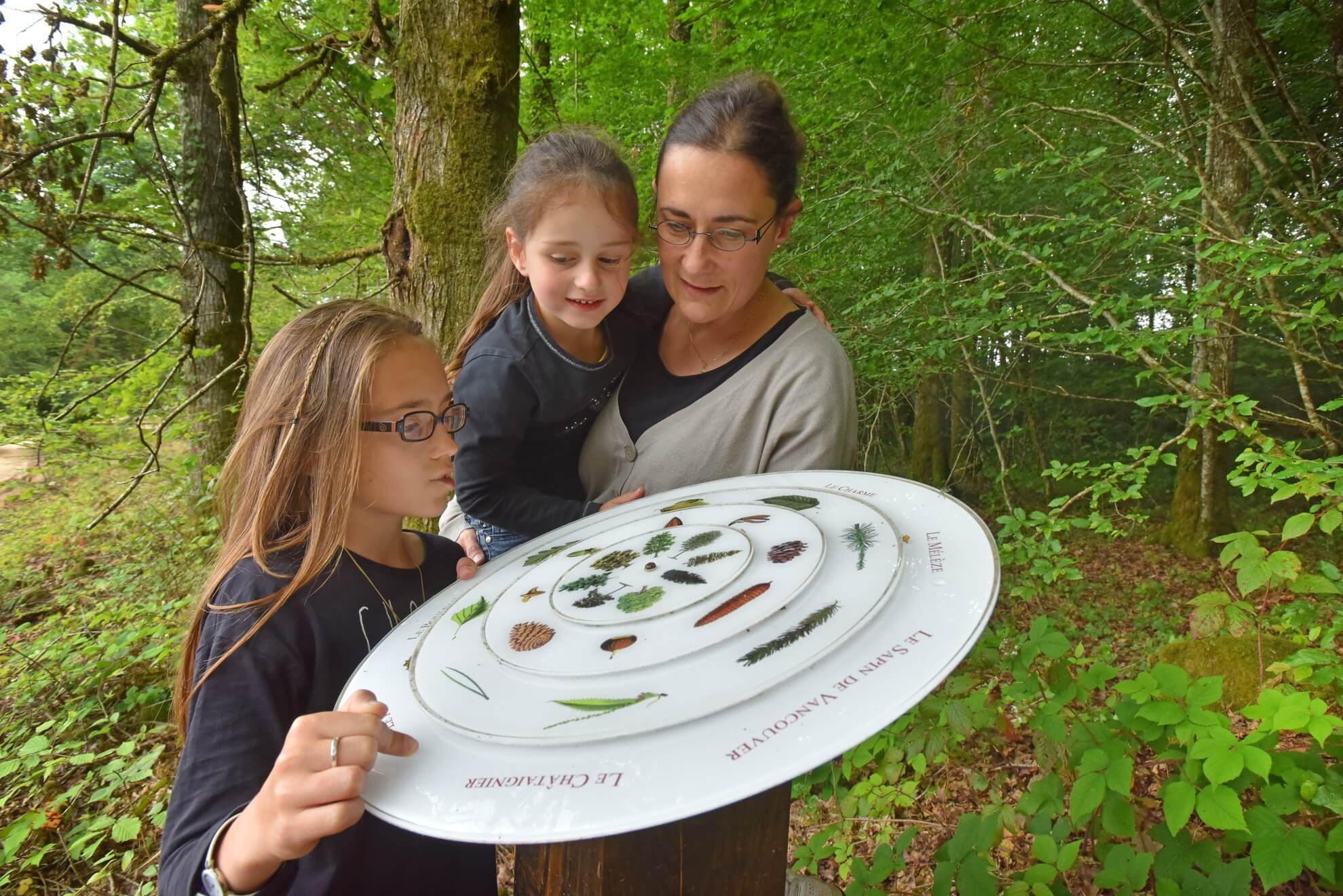Forêt d'Épagne