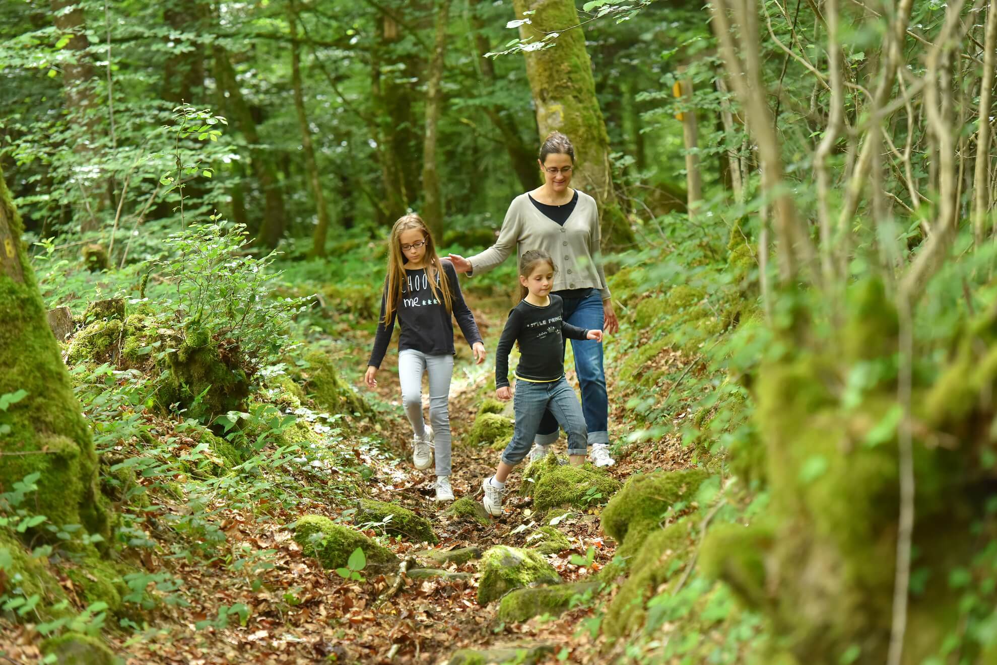 Forêt d'Épagne