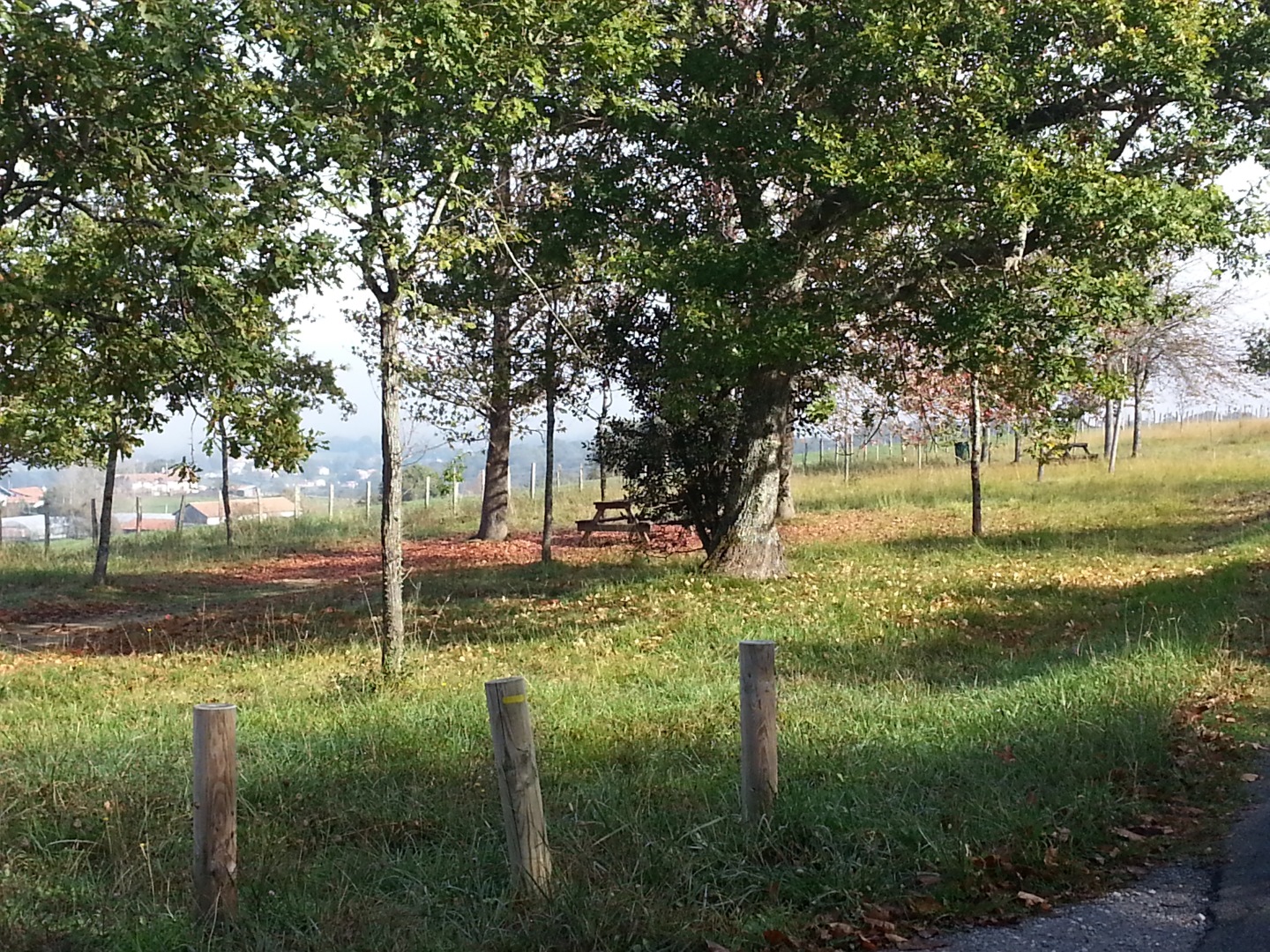 Forêt d'Ustaritz