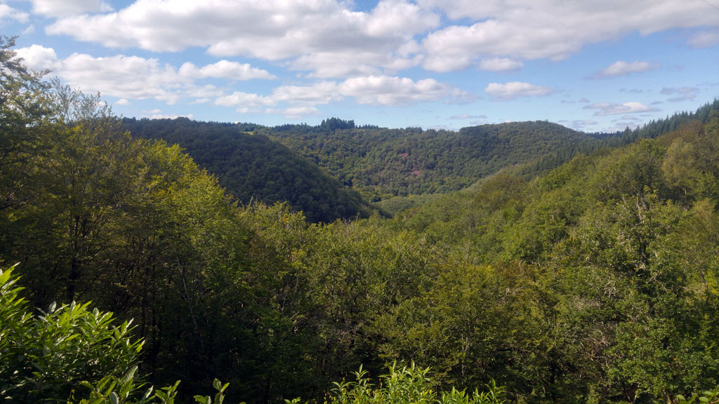 Les gorges de la Luzège