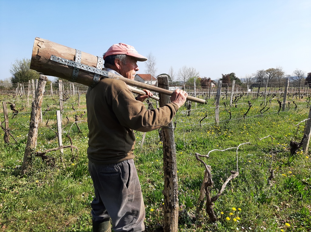 François vous fait découvrir le travail de la vigne avec ses outils d'antan