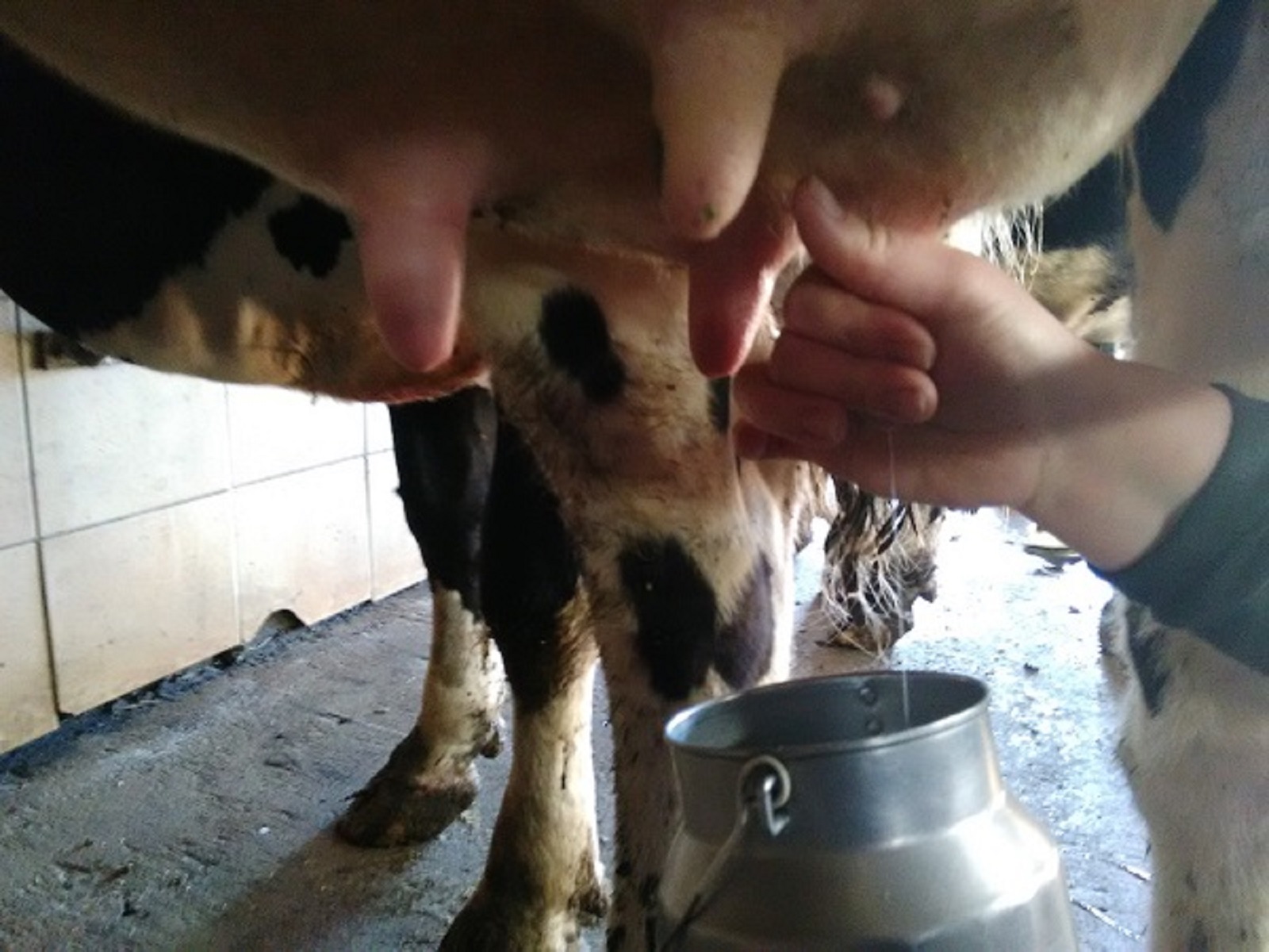 Ferme du Baren de la Matte - photo 4