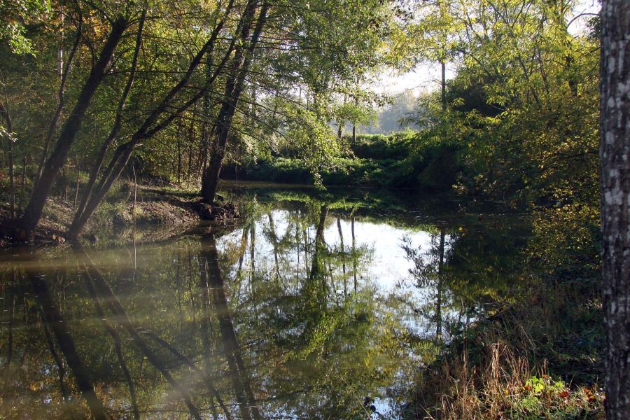 Site Natura 2000 de la Gélise et ses affluents