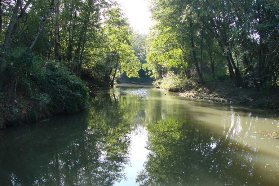 Site Natura 2000 de la Gélise et ses affluents
