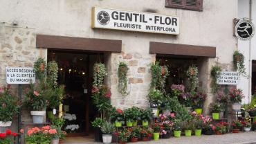 Gentil Flor