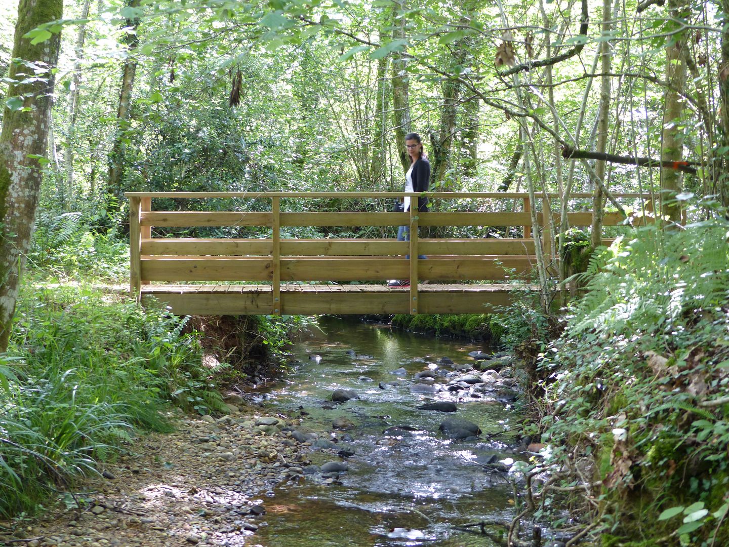 Le vallon du Manas