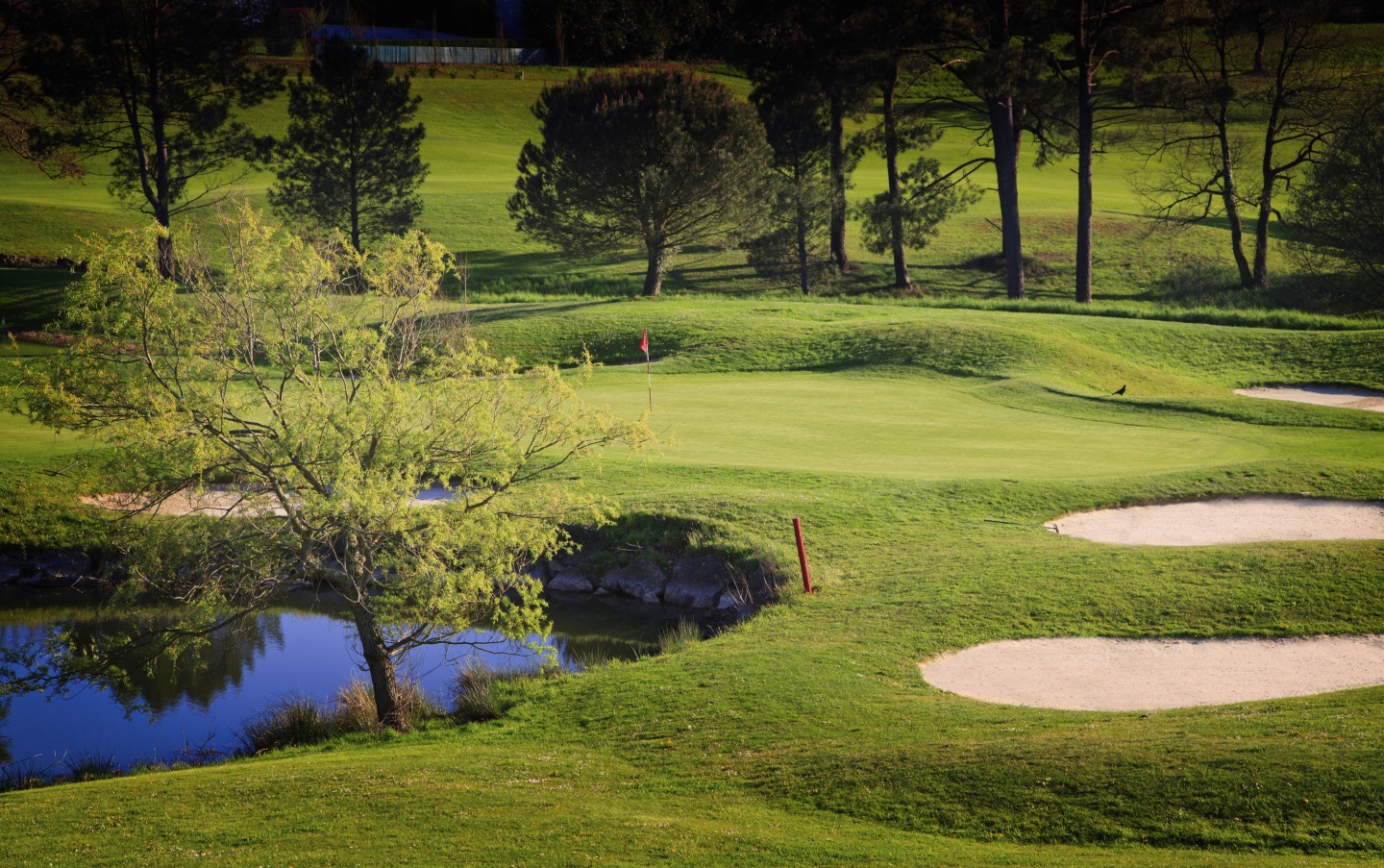 Golf d'Arcangues