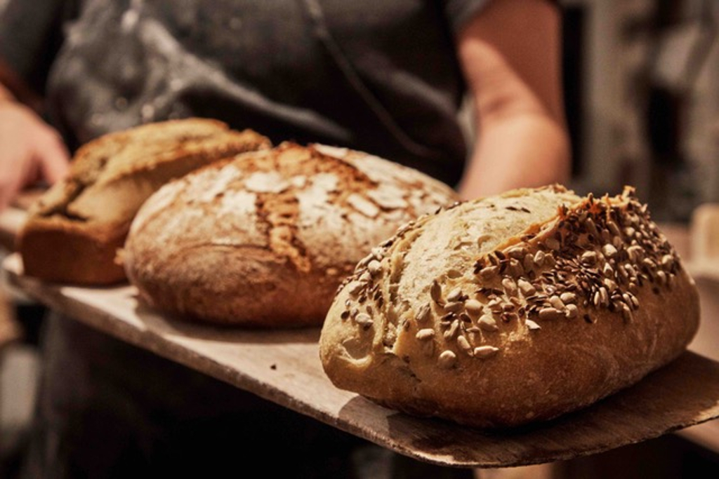 La Cabane de la Bourgonie, Saint-Cyr - photo 4