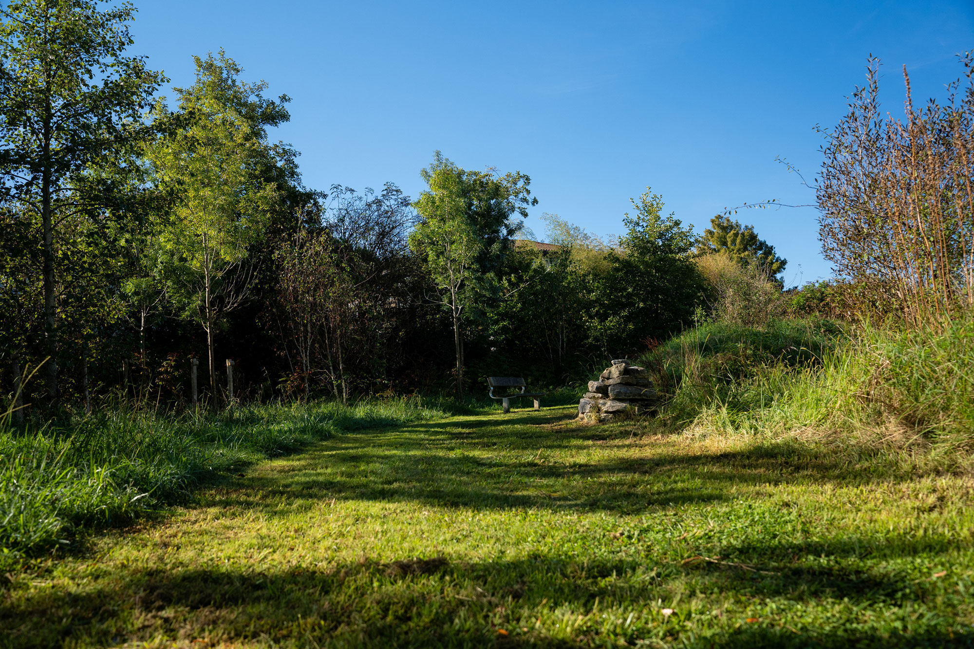 Aire de biodiversité de Lamouly