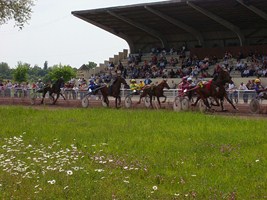 Hippodrome de Sarlande - Société des courses de Castillonnès