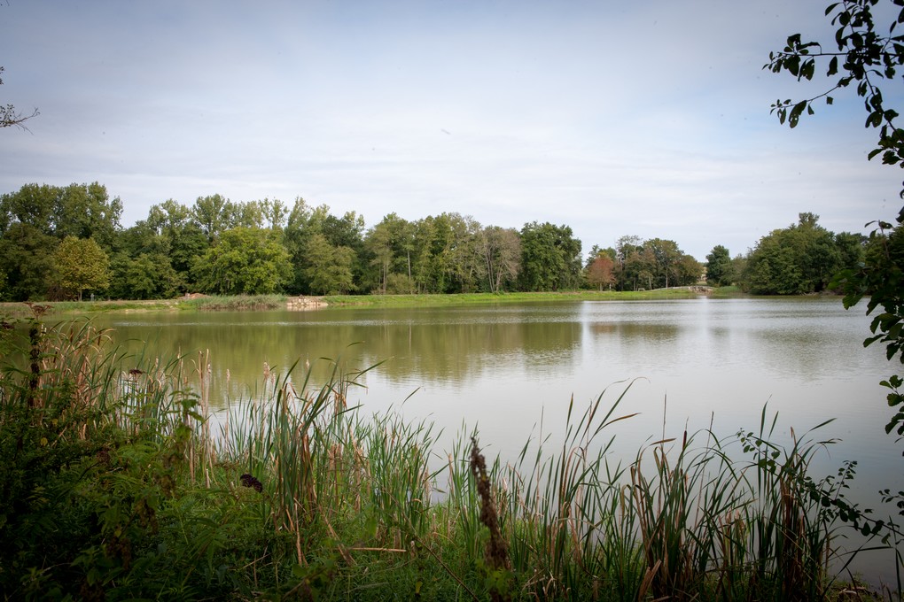 Grand Etang
