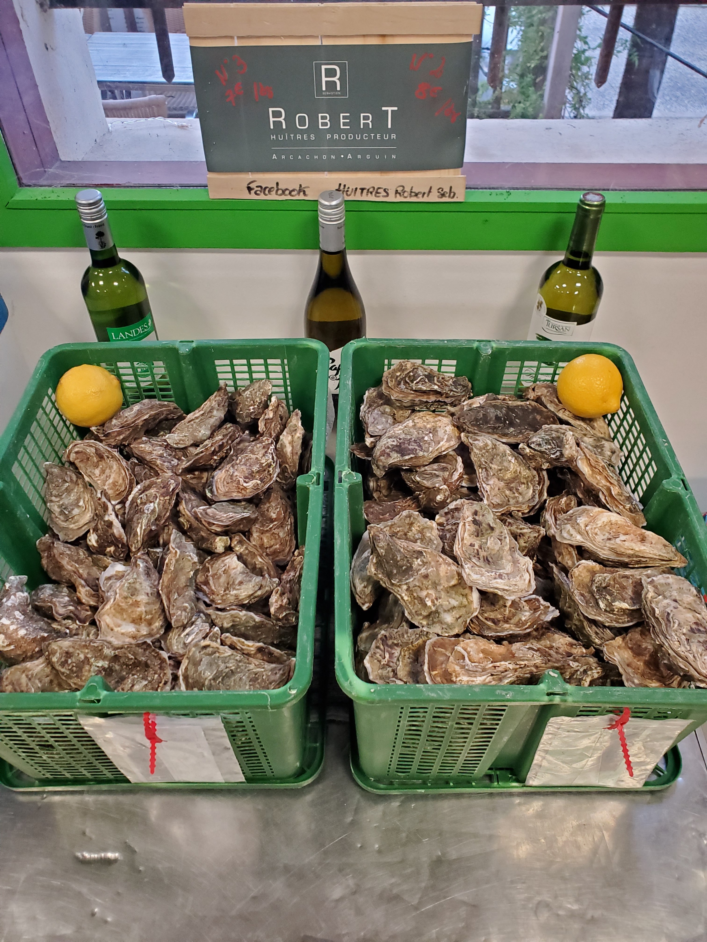 O Jansemin - photo 2