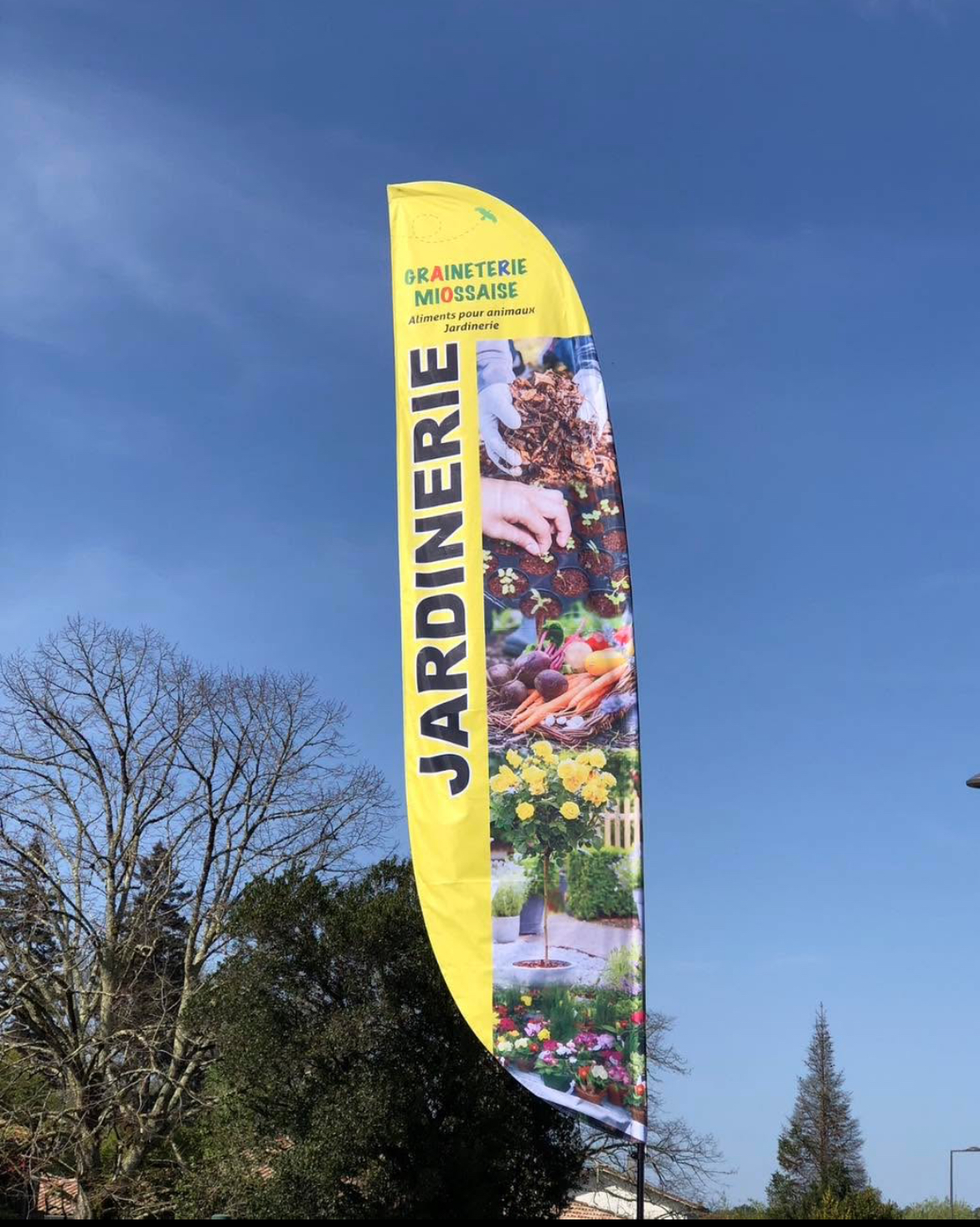 Graineterie Miossaise