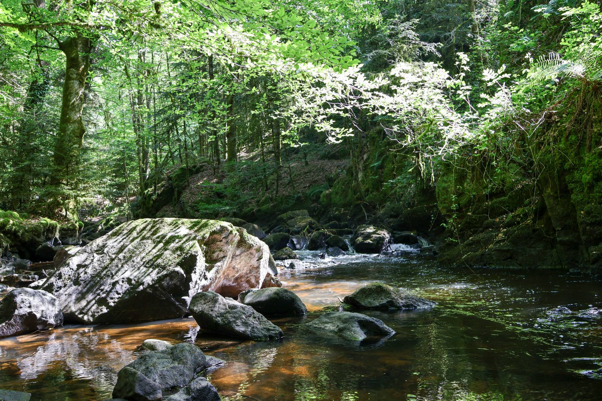 Cascadelles