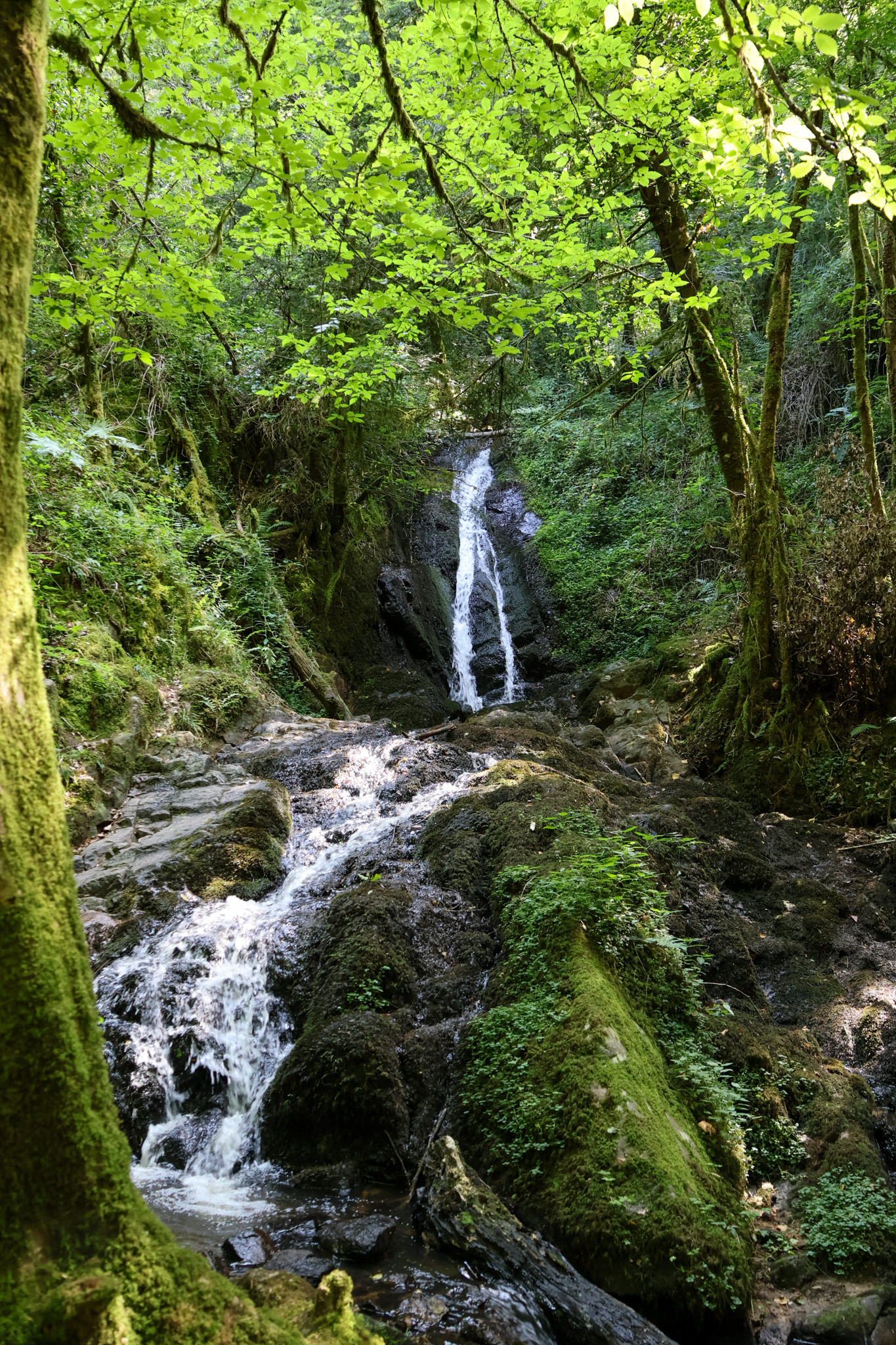 Cascadelles