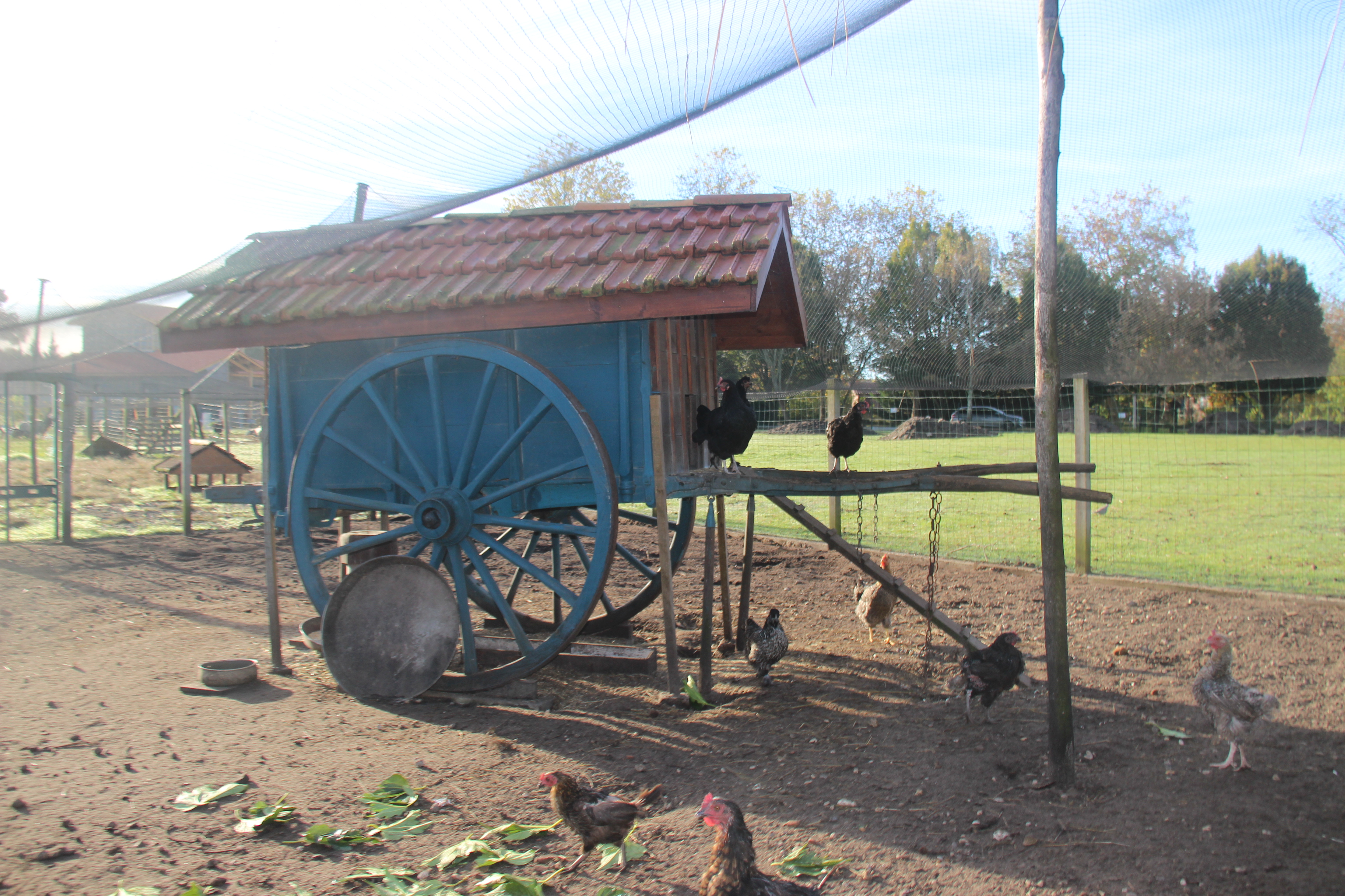 Ferme pédagogique au Musée des traditions