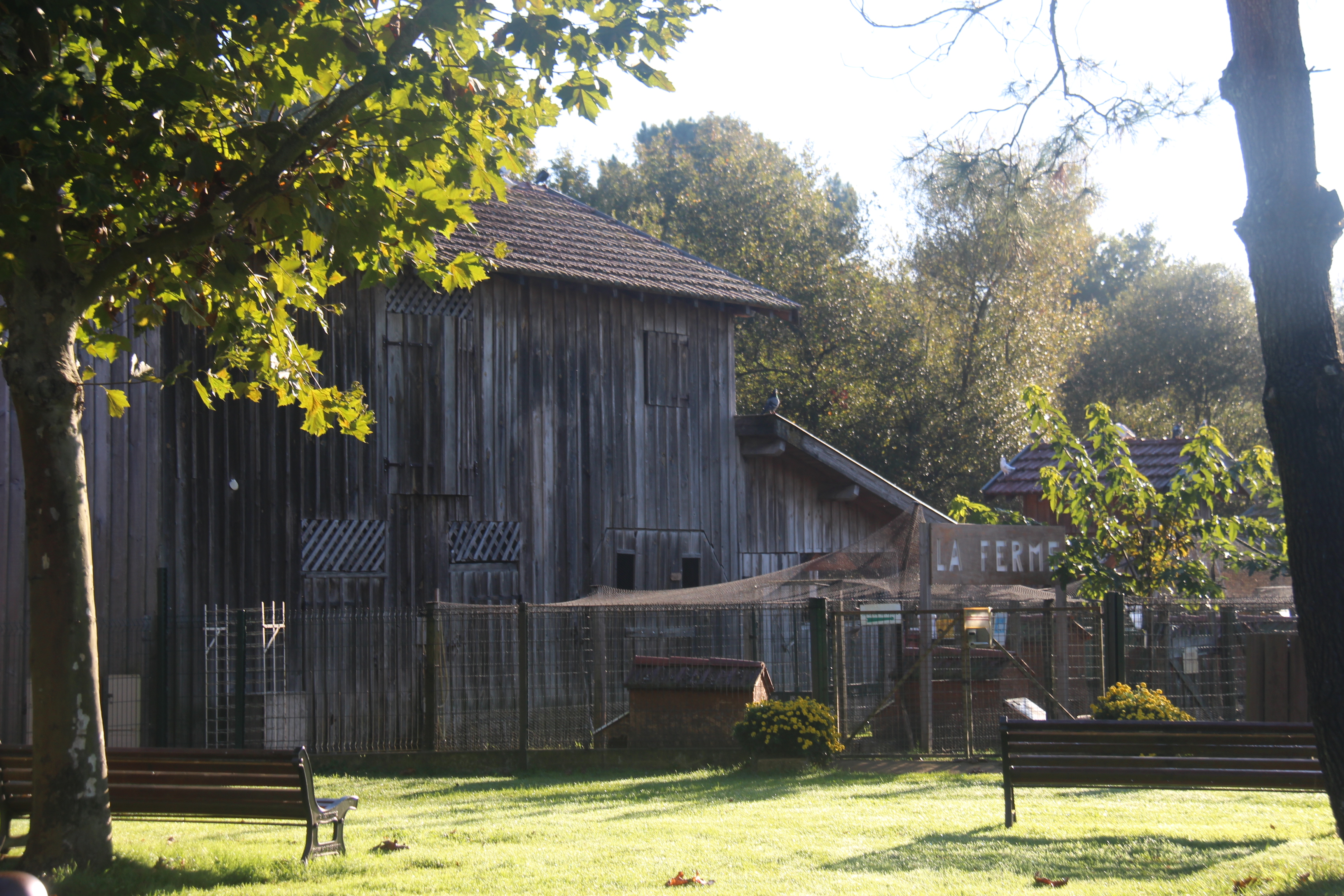 Ferme pédagogique au Musée des traditions