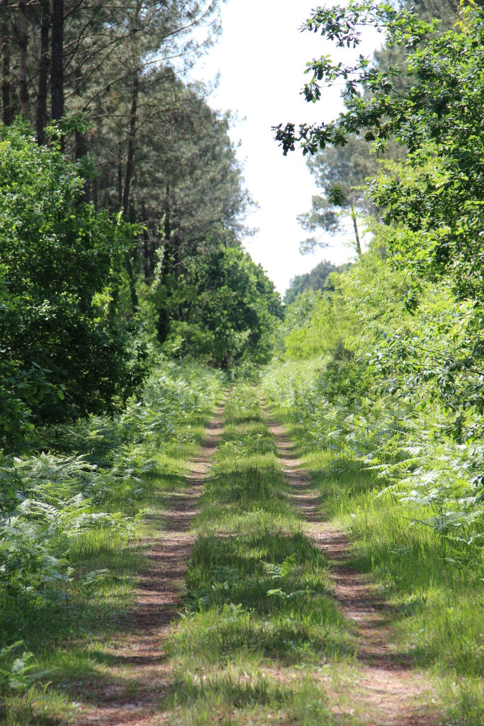 Het munitiedepot bij Taller