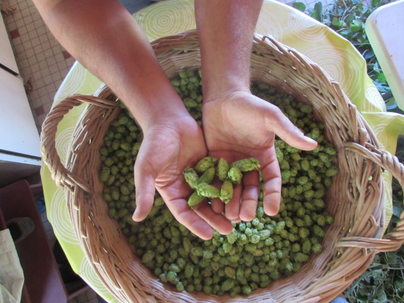 La Ferme Brasserie Moustous, Cours-les-Bains