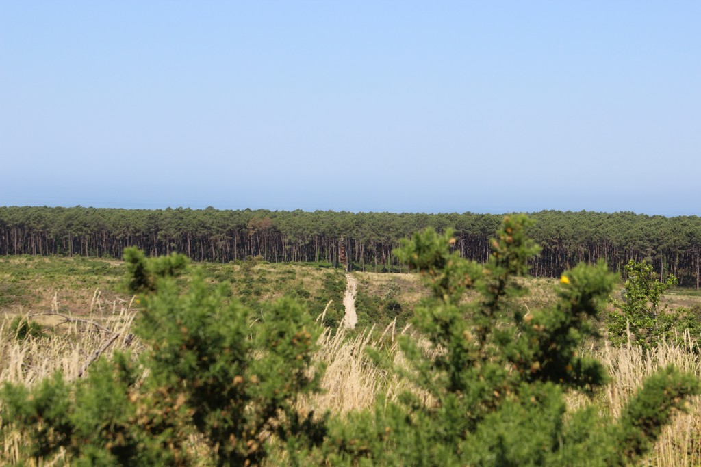 Das Recht auf Schiffbruch