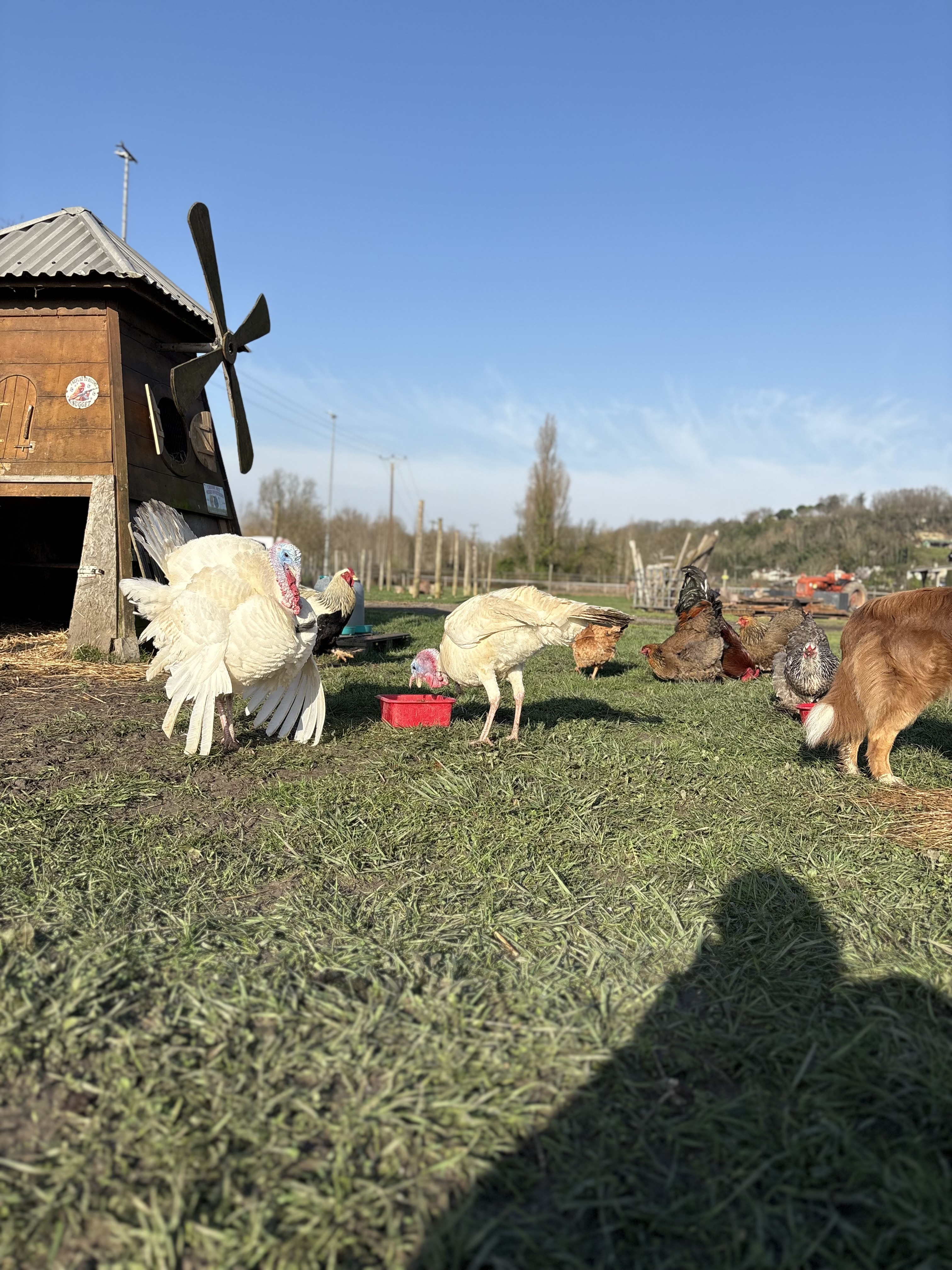Ferme pédagogique Ensemble à la Ferme